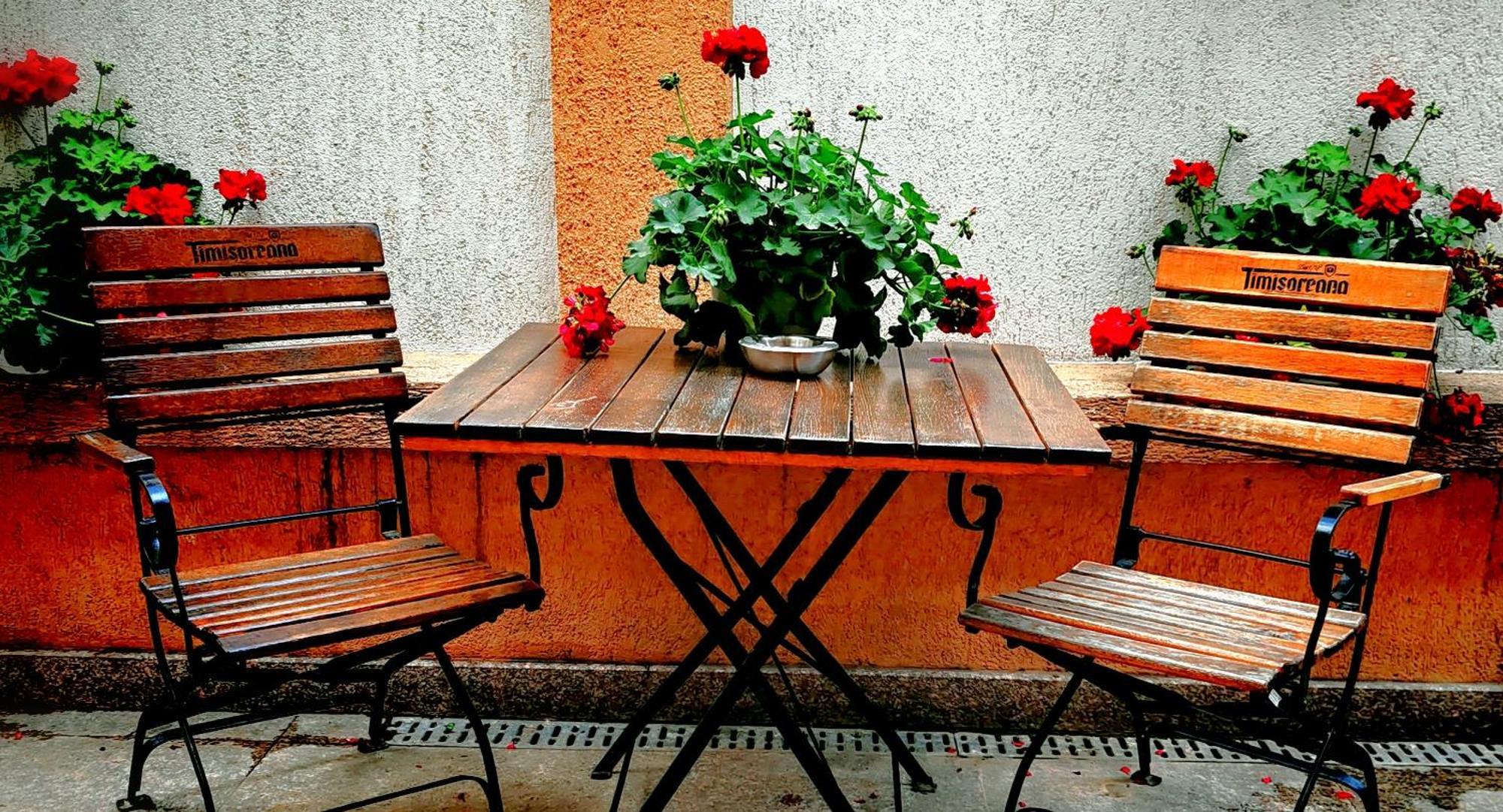 Bucur 9 Hotell Bucureşti Eksteriør bilde